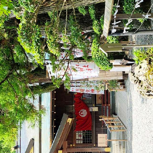 佐璢女神社の参拝記録5