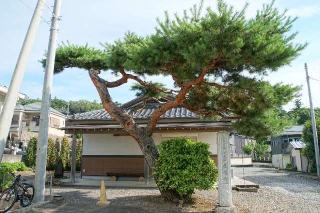 慈眼山真福寺の参拝記録(thonglor17さん)