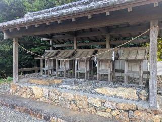 若宮八幡神社の参拝記録(だーよしさん)
