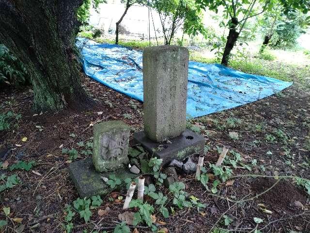 庚申塔（川井田の畑の石造物）の写真1