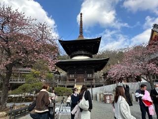 東照山王権現社（雨引観音境内社）の参拝記録(はとさん)