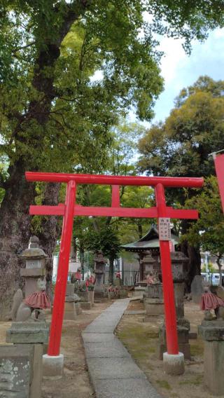 白狐殿（半田稲荷神社境内社）の参拝記録(Daisy ♂さん)