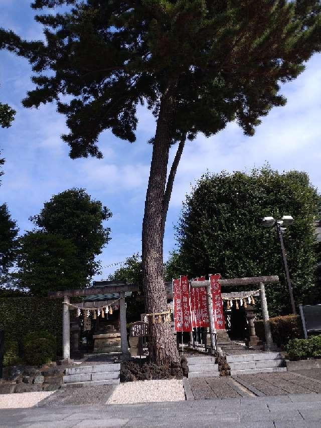 御神木 三本願い松（中野沼袋氷川神社 境内）の参拝記録3