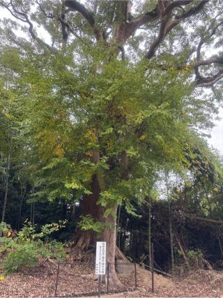 阿高神社の参拝記録(ユウさん)