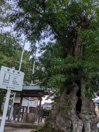 八幡宮の参拝記録(hohoemiさん)