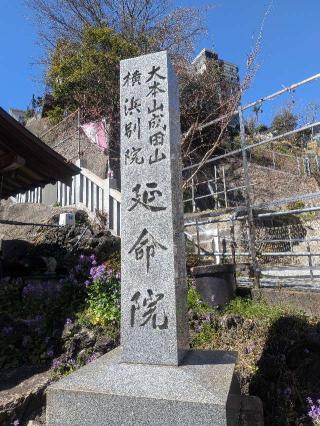 成田山 横浜別院 延命院の参拝記録(はくすみさん)