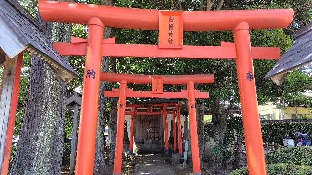 白幡神社の写真1