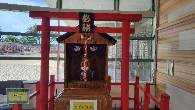 ターフィー神社の写真1