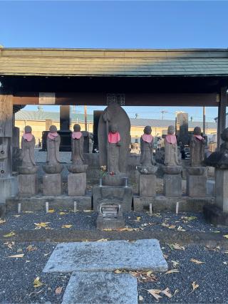 阿弥陀堂の参拝記録(せきちゃんさん)