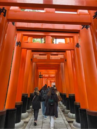 千本鳥居の参拝記録(こーちんさん)