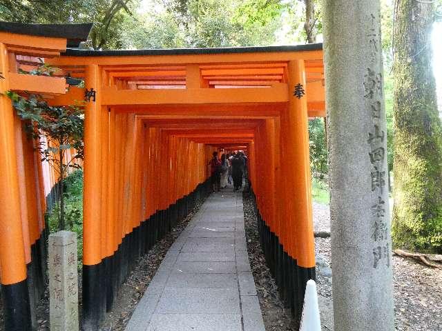 千本鳥居の写真1