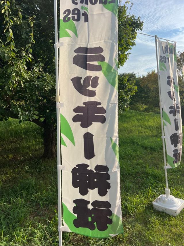 茨城県ひたちなか市馬渡 字大沼605-4 ラッキー神社（イベント時のみ出現）の写真2