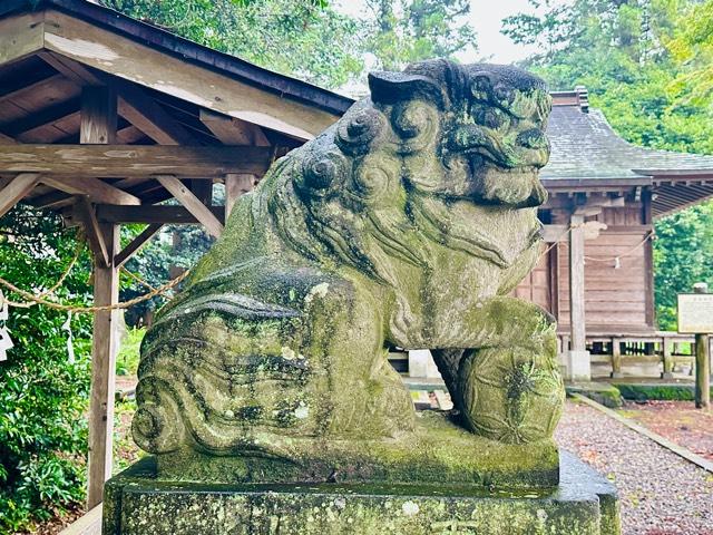 星宮神社の参拝記録1