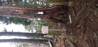 産安社（武蔵御嶽神社摂社）の参拝記録(とむさん)