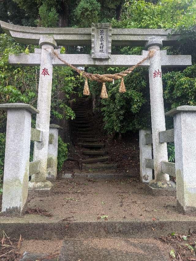 若一王子大権現の写真1