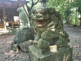 鷲神社の参拝記録(さとみさん)