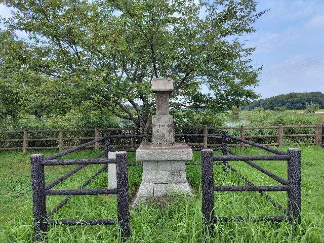 茨城県守谷市本町９５２ 水神宮の写真2