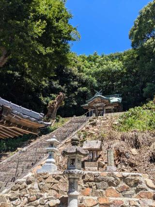 蓑島神社の参拝記録(こまいぬおさん)