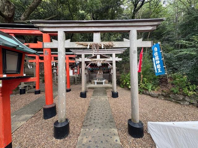大阪府泉佐野市土丸907 水呑清水地蔵の写真4