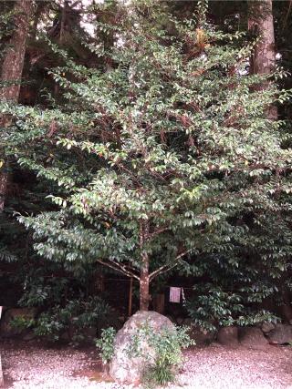 役行者堂(天河大弁財天社)の参拝記録(礼さん)