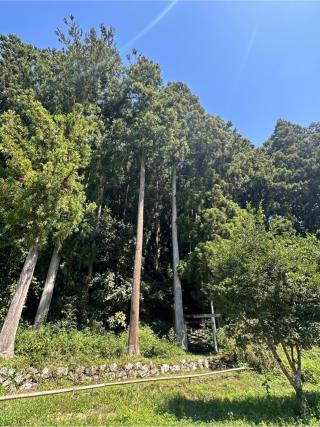 岩戸神社の参拝記録(shikigami_hさん)