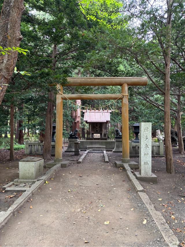 徳多木神社の参拝記録1