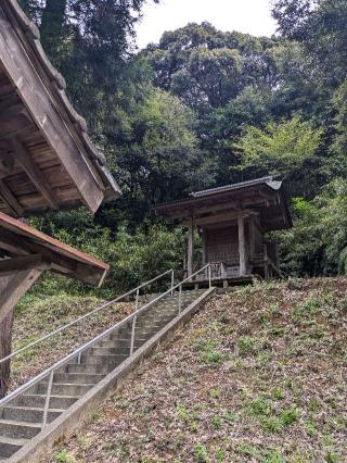 住吉神社の参拝記録(こまいぬおさん)