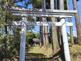 八王子神社の参拝記録(ruinさん)