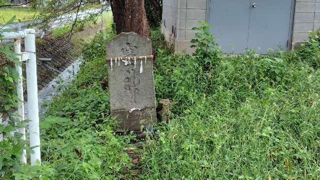 塞神の写真1