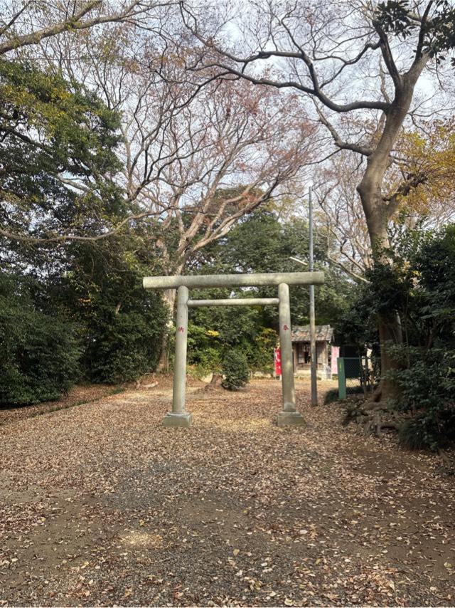 大勒天の参拝記録1