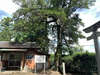 熊野神社の参拝記録(くーさん)
