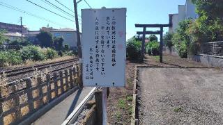 稲荷神社の参拝記録(りんごぐみさん)
