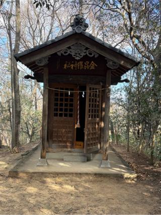 金毘羅神社の参拝記録(こーちんさん)