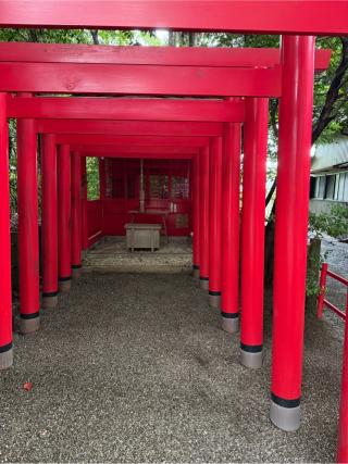 坂之森稲荷大明神（坂社　境内」の参拝記録(⛩️🐍🐢まめ🐢🐍⛩️さん)
