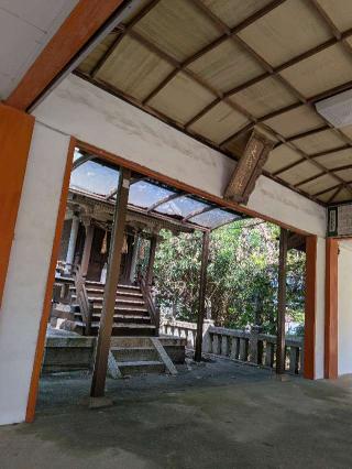 大橋神社の参拝記録(こまいぬおさん)