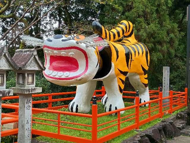 世界一福虎の写真1