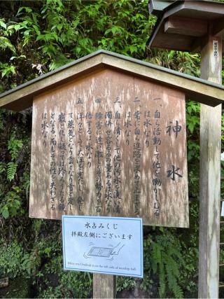 神水（貴船神社境内）の参拝記録(⛩️🐍🐢まめ🐢🐍⛩️さん)