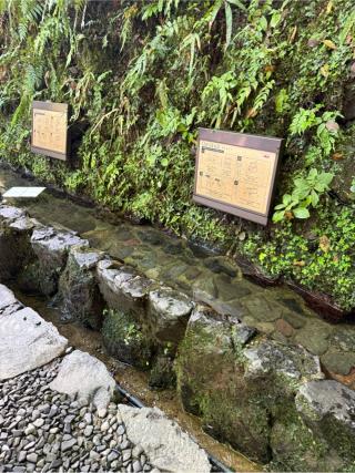 神水（貴船神社境内）の参拝記録(⛩️🐍🐢まめ🐢🐍⛩️さん)