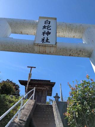白蛇神社の参拝記録(こまいぬおさん)