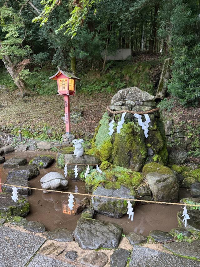 真名井のいずみ（出雲大神宮境内）の写真1