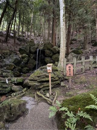 御蔭の滝（出雲大神宮境内）の参拝記録(⛩️🐍🐢まめ🐢🐍⛩️さん)