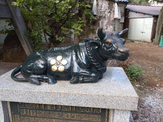 撫で牛（新井天神北野神社）の参拝記録1