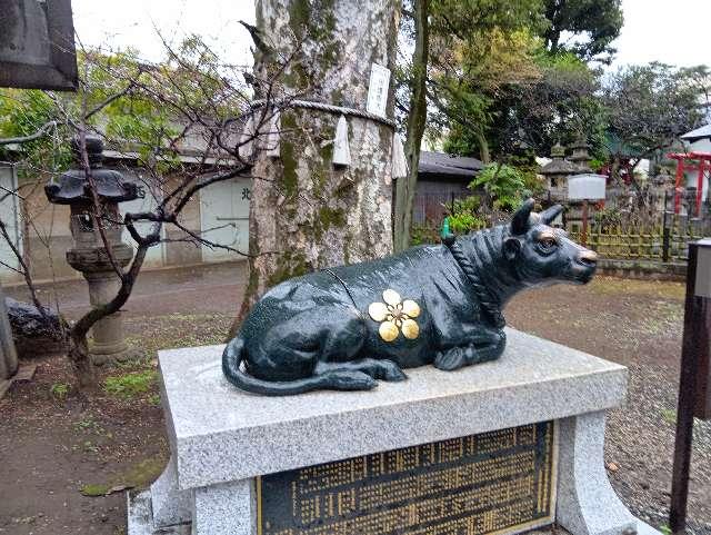 撫で牛（新井天神北野神社）の参拝記録1
