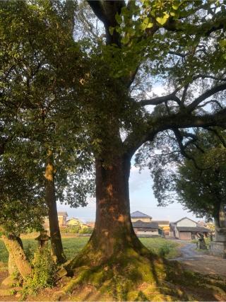 貴船神社の参拝記録(ユウさん)