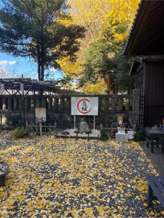 淨身石（厄祓石）の参拝記録(⛩️🎠🐢まめ🐢🎠⛩️さん)