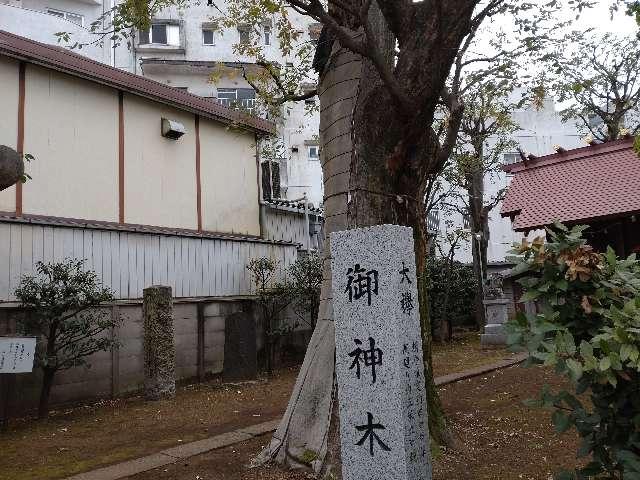 御神木(高田馬場天祖神社境内)の写真1