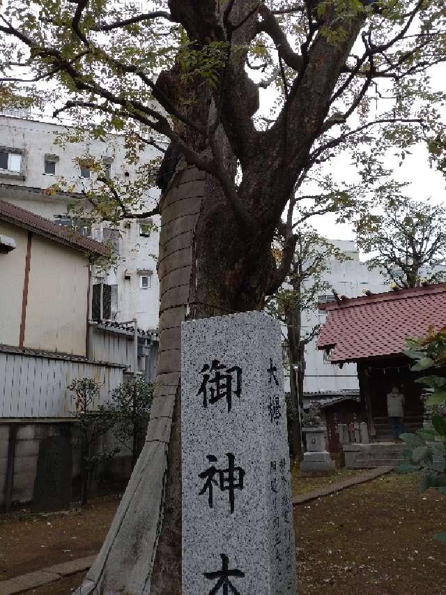 御神木（高田馬場天祖神社境内）の参拝記録1