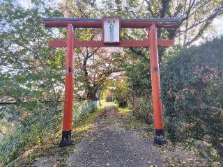 小北稲荷大明神の参拝記録(ロビンさん)