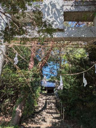 徳永　所吉神社の参拝記録(こまいぬおさん)