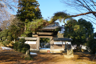 心田山成安寺の参拝記録2